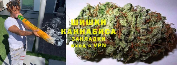 индика Кодинск