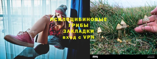 индика Кодинск