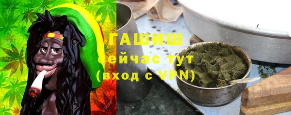 индика Кодинск