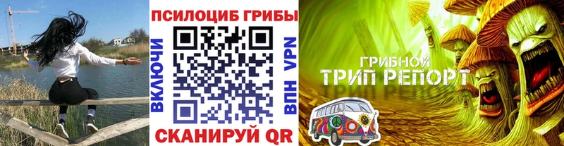 Галлюциногенные грибы мухоморы  Купить закладки  Кола 